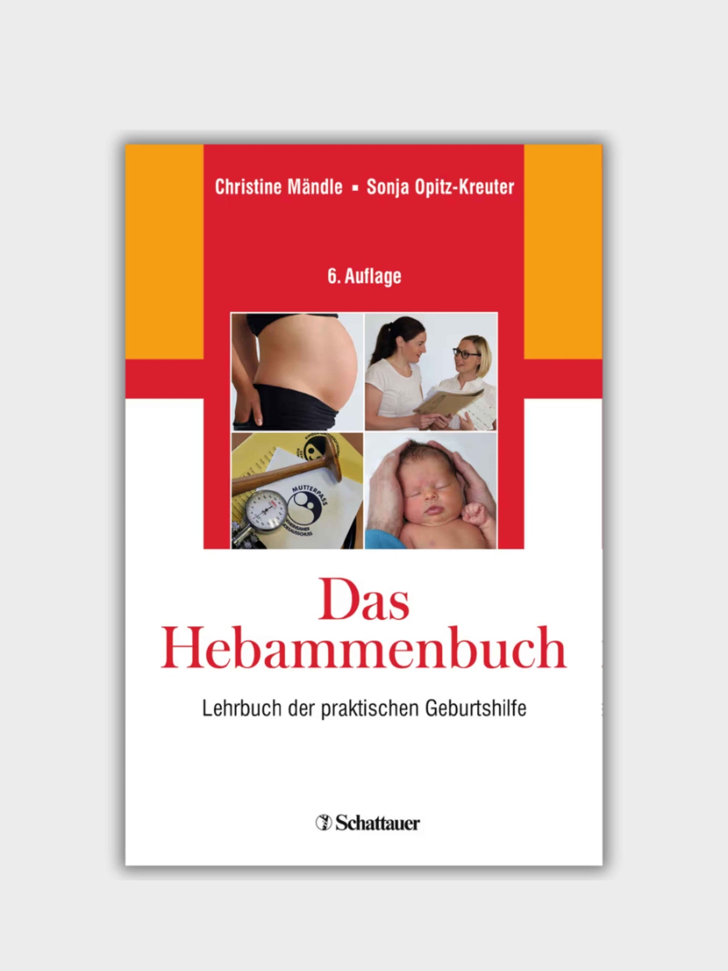 Das Hebammenbuch: Lehrbuch der praktischen Geburtshilfe