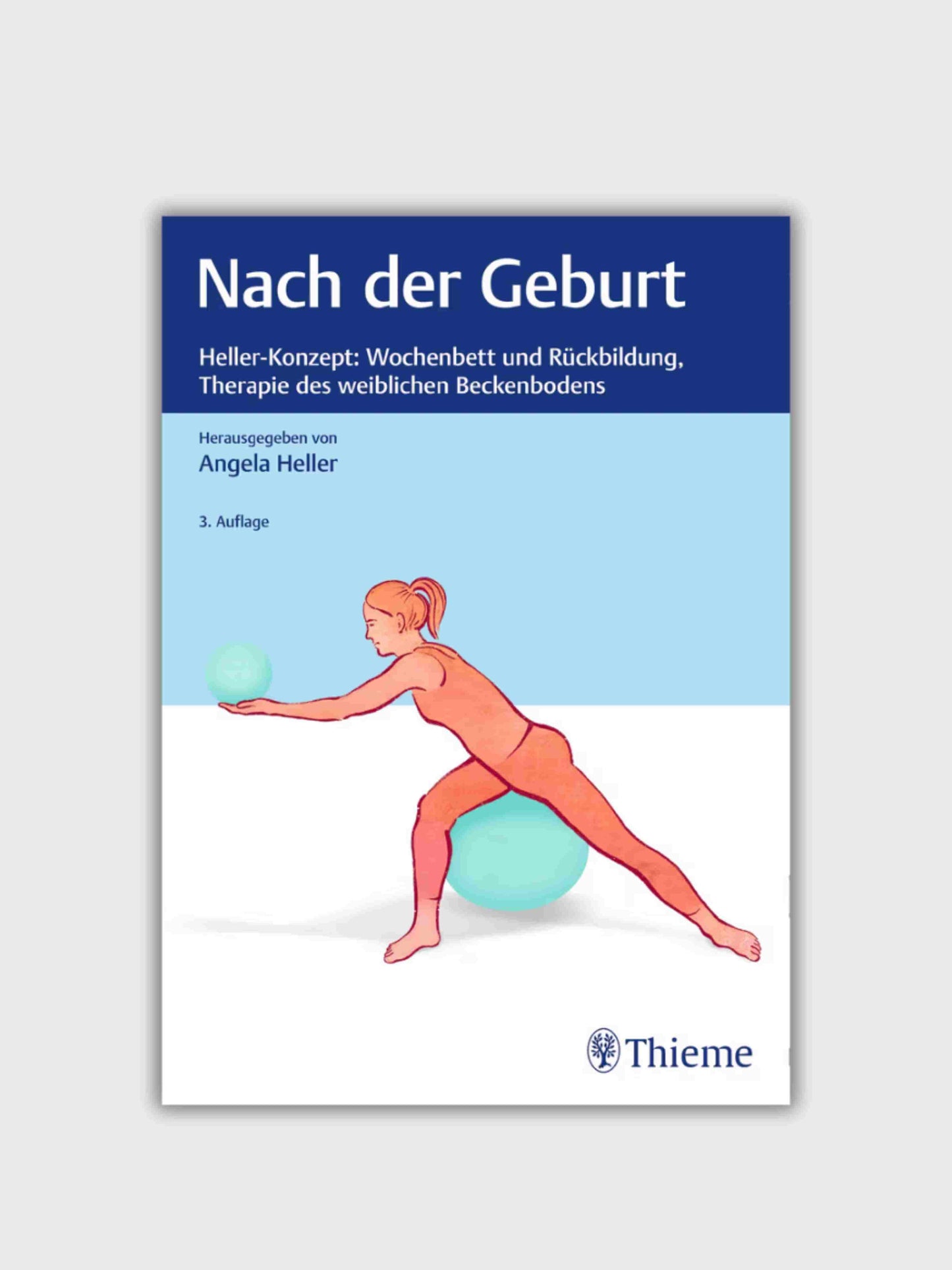 After Childbirth Heller Concept: Therapy of the Female Pelvic Floor