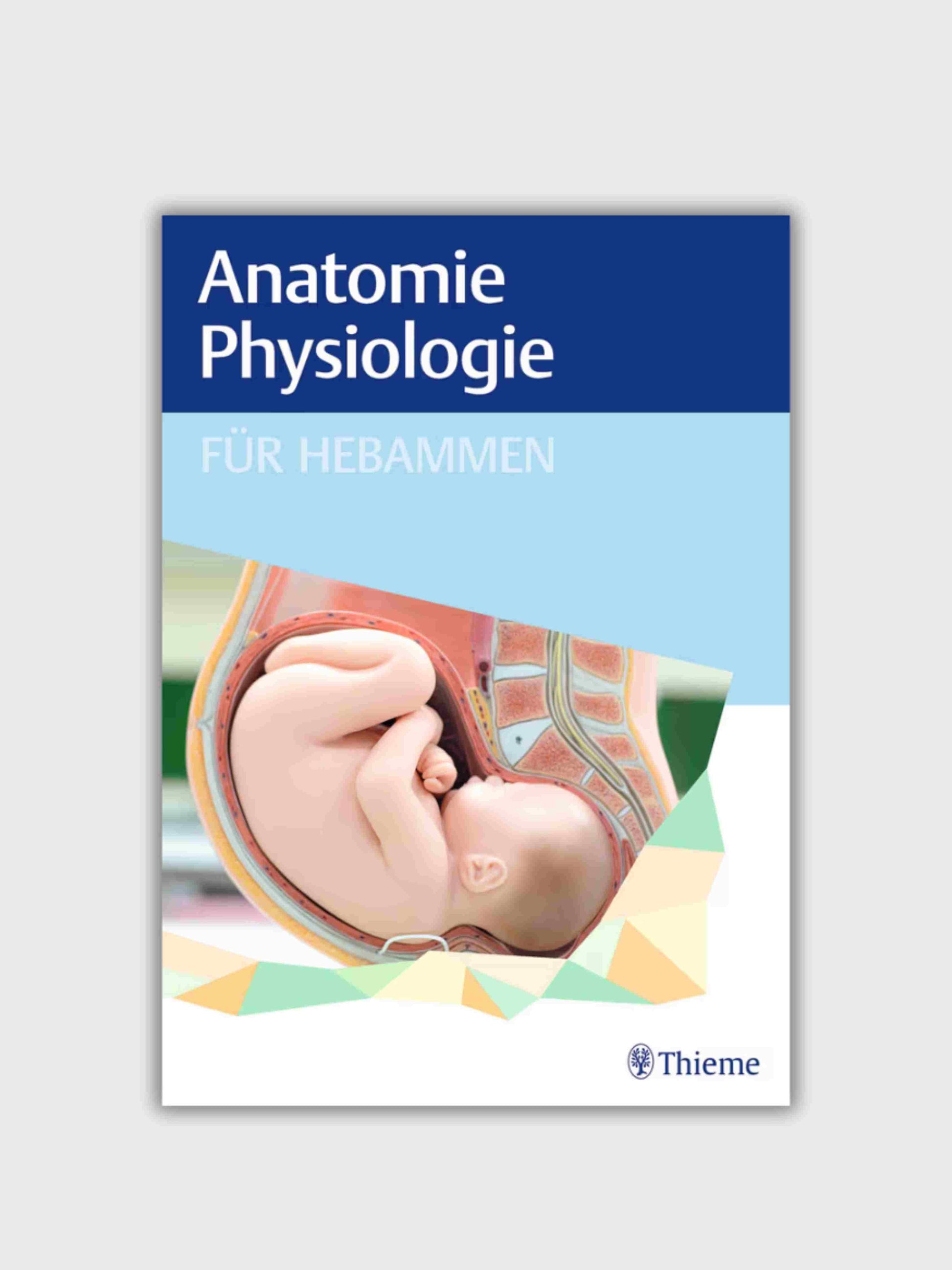 Anatomie und Physiologie für Hebammen